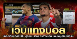 เว็บแทงบอล