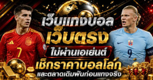 เว็บแทงบอลเว็บตรงไม่ผ่านเอเย่นต์