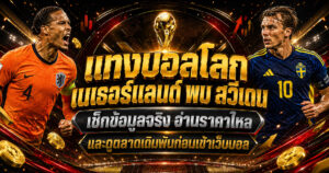 เนเธอร์แลนด์พบ สวีเดน