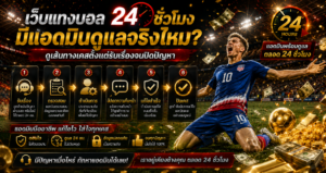 เส้นทางบริการแอดมินเว็บแทงบอล 24 ชั่วโมง